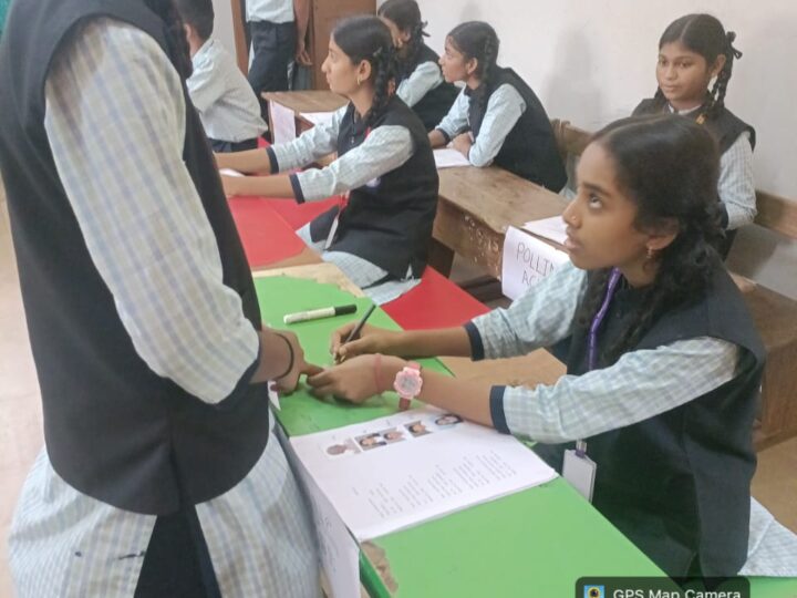 Mock Election
